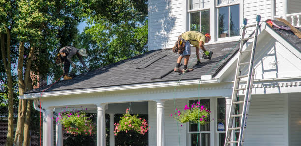 Roof Moss and Algae Removal in Bourbon, IN